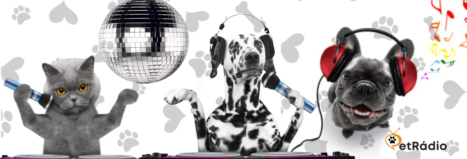 Pet Rádio