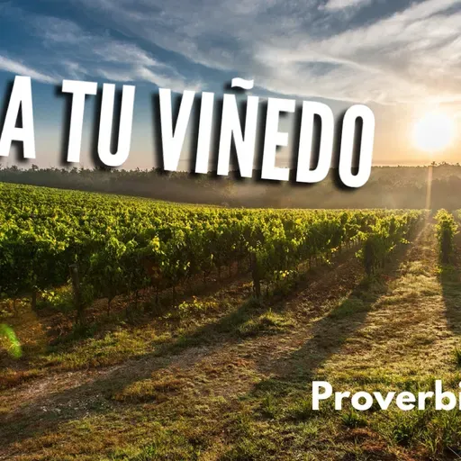Cuida tu viñedo