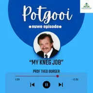 My kneg Job - Prof Theo Burger