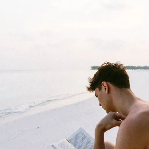 Nuestras lecturas cinéfilas favoritas del 2025