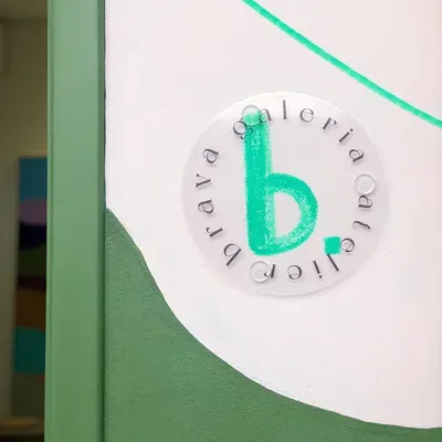 Braba por Amanda Mol