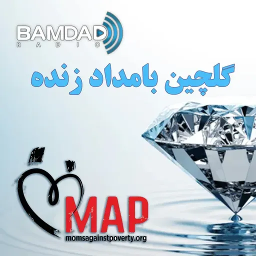 دلفریب فنایی از سازمان غیرانتفاعی مَپ