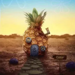 Chipi2305