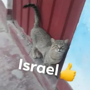 Reseña sexo la pelicula