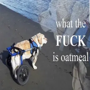 Just a test for now