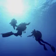 Tauchen - Im Rausch der Tiefe