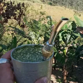 Agro Do Fundão