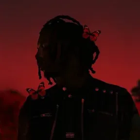 Playboi Carti Leaks