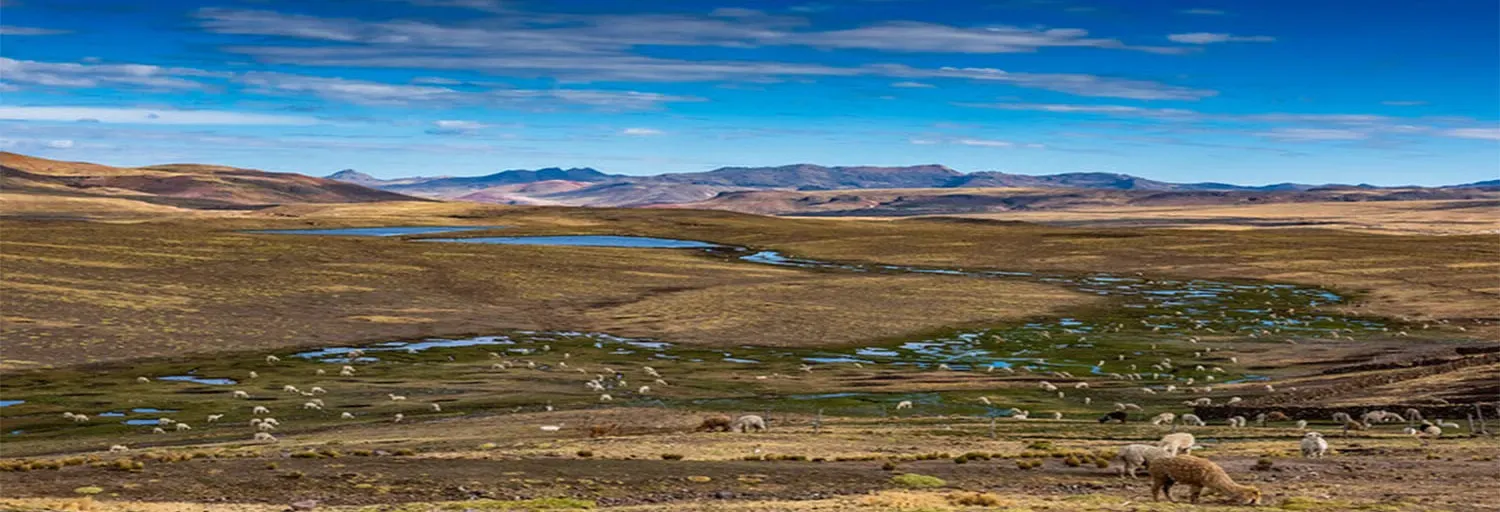 Radio HTR FOLCLOR ANDINO