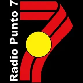 Punto 7 Concepción