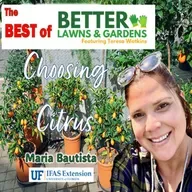 S2 Ep405: Best of Better Lawns and Gardens - Hour 1 Choosing Citrus November 29, 2025