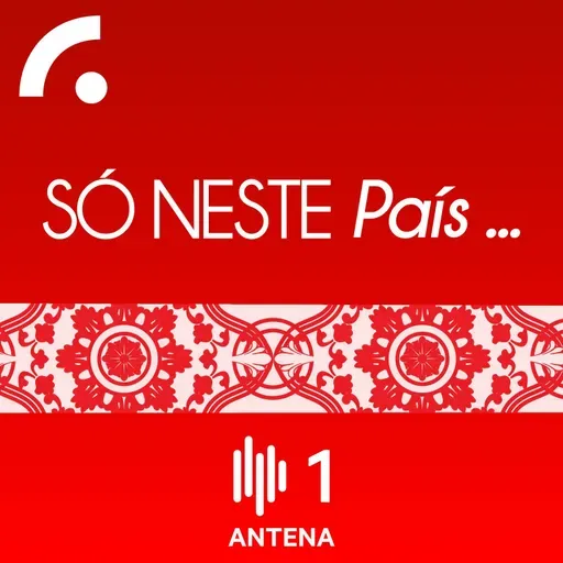 Esta semana falamos de trabalho. Maria nunca teve férias, Manuel nasceu com trissomia 21 mas hoje trabalha com cavalos, Sónia vive para o voluntariado, Filipa trabalha com sabores de Lisboa e João é um abegão.