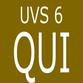 UVS 6 Estrelas V