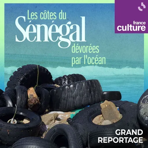 Les côtes du Sénégal dévorées par l'océan 1/5 : "Nous avons peur, nous sommes toujours menacés par l'avancée de la mer et jusqu'à présent, sans solutions"