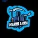 Marioahnasbassbude