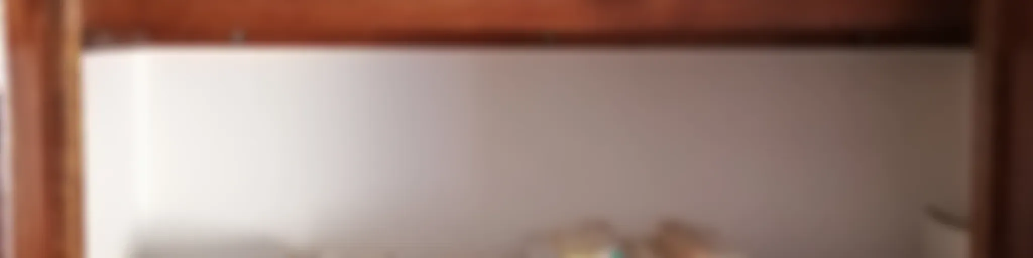 O Guarda-Livros Literário