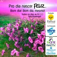 Pro dia nascer Feliz... Bom dia! Bom dia, mesmo! #331