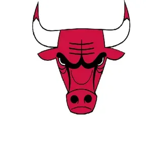 Toro Bravo