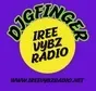 Iree Vybz Radio