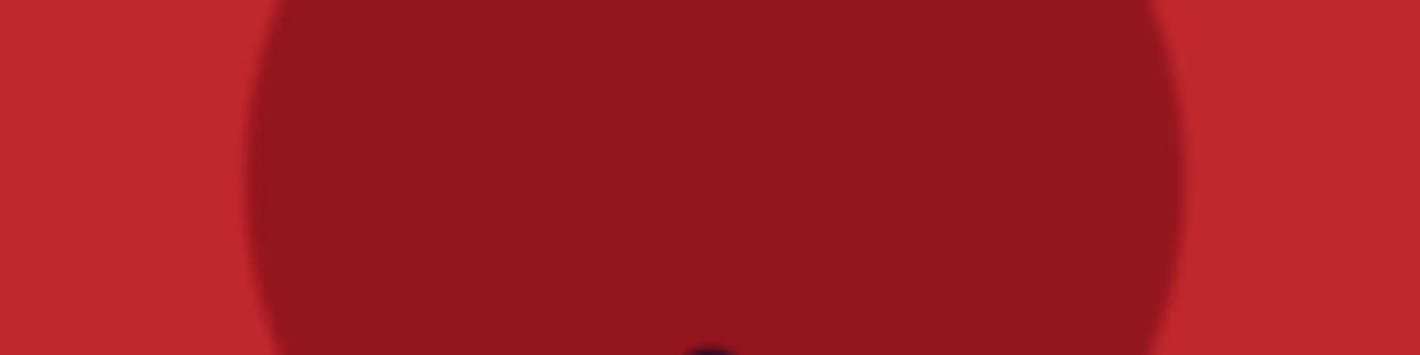 Organizational (The) Accomplishments