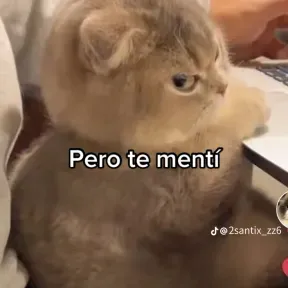 Triste eee