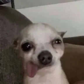 IsaDelicia