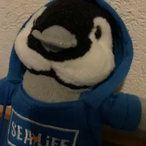 pinguin FM