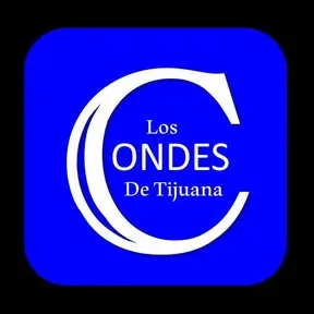 CONDES COMUNICACIÓN MULTIRED