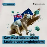 Czy Australia uratuje koale przed wyginięciem (Dział Zagraniczny Podcast#258)
