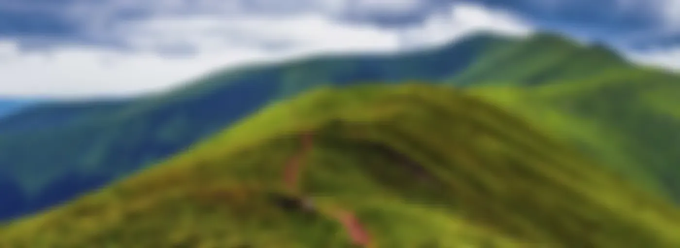 Una luz en el camino