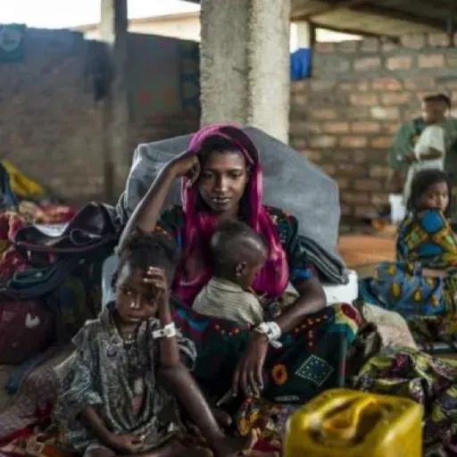 Il viaggio di Lou - Puntata 2 - A cura di Cleziana Iacona