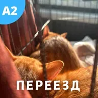 #130 - A2-B1 - Переезд