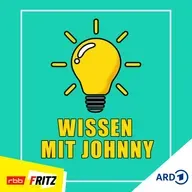 71 - Der Fall Jeffrey Epstein