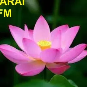 THAMARAI FM