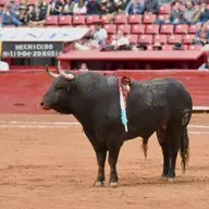 "Calita" nos platica sobre el indulto a "Hechicero" de las Huertas