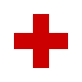 CRUZ  ROJA FILIAL CURICO ONLINE