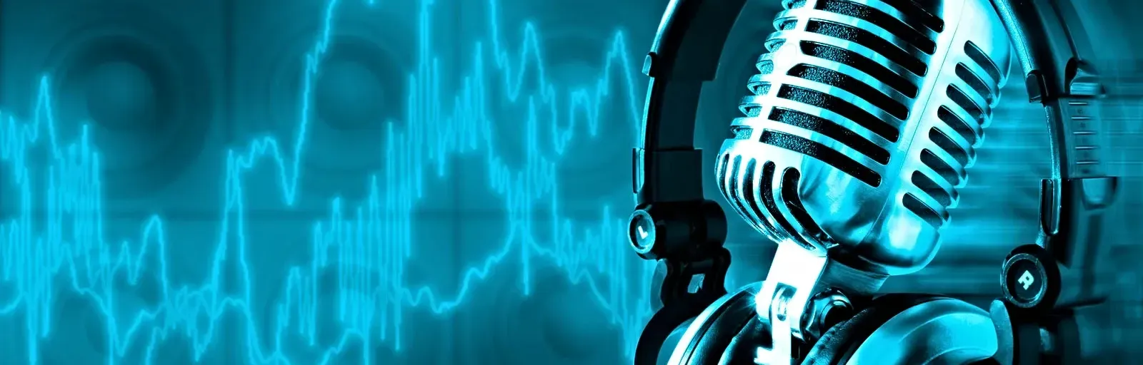 LA PUERTA 102.9 FM
