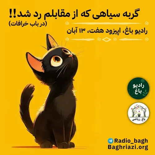 گربه سیاهی که از مقابلم رد شد!!