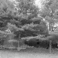S8 Ep1032: Thoreau's Performative Solitude at Walden Pond. Guest: Bruce Nichols. Henry David Thoreau built his famous cabin on land owned by Ralph Waldo Emerson. Contrary to his image as a total hermit, Thoreau was quite social, often walking into town for fresh-coo