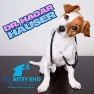 Ouch! That Explains the Bite - With Dr. Hagar Hauser