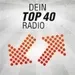 Radio Neandertal - Dein Top40