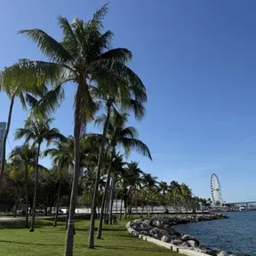 IPUL North Lauderdale Mensaje Diario 