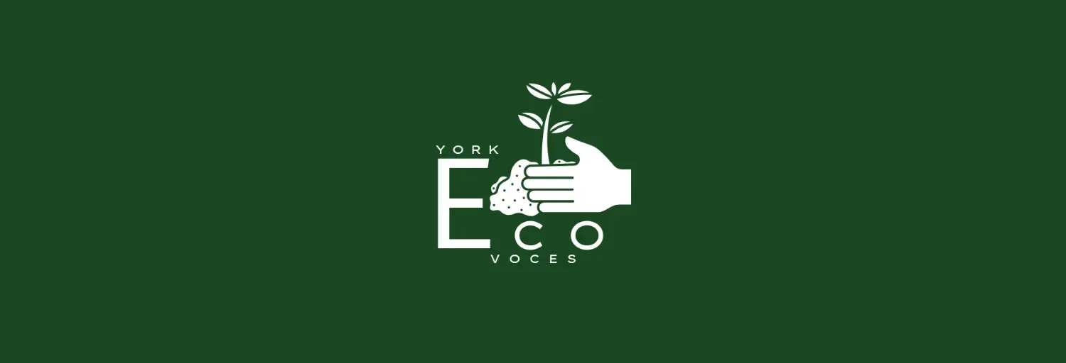 Eco Voces