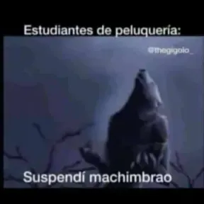 GaboMusic