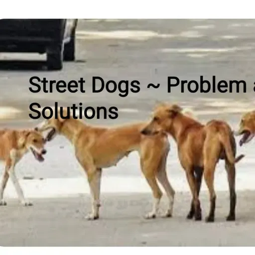 Street Dogs~ Problems and Solutions (Hindi)