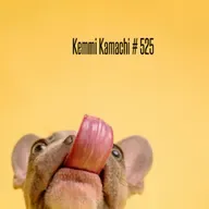 Kemmi Kamachi # 525