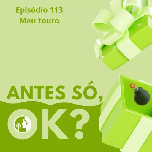 #113. Meu touro