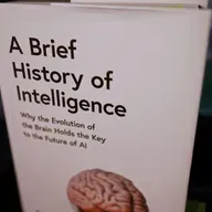Your Brain is Running a Simulation Right Now [Max Bennett]