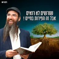 שורשים לא רואים אבל זה הפירות בחיים !