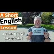 Learn the English Phrases "to be in free fall" and "free as a bird"